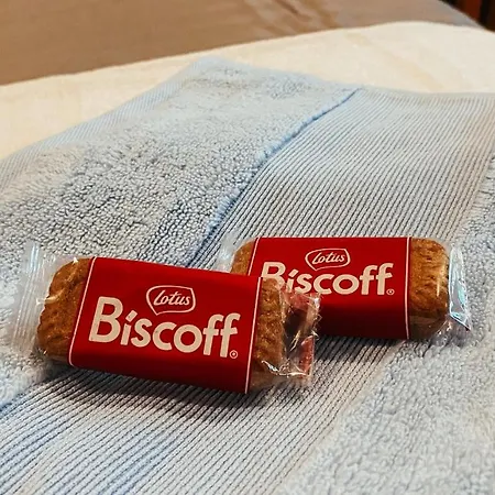 Cosy In City Bristol